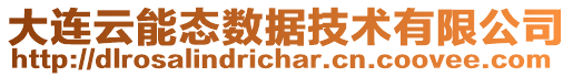 大連云能態數據技術有限公司