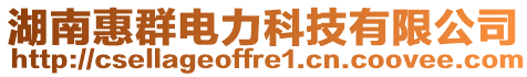 湖南惠群電力科技有限公司