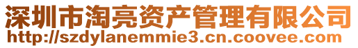深圳市淘亮資產管理有限公司