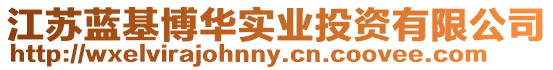 江蘇藍(lán)基博華實(shí)業(yè)投資有限公司