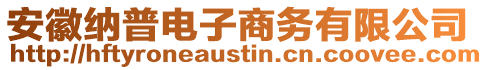安徽納普電子商務有限公司