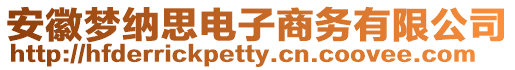 安徽夢納思電子商務有限公司
