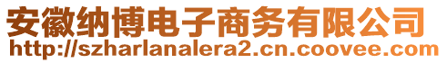 安徽納博電子商務(wù)有限公司