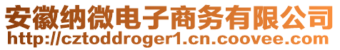 安徽納微電子商務(wù)有限公司