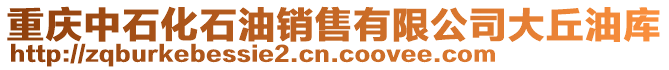 重慶中石化石油銷(xiāo)售有限公司大丘油庫(kù)