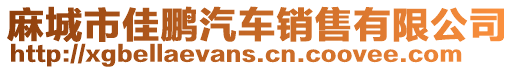 麻城市佳鵬汽車銷售有限公司