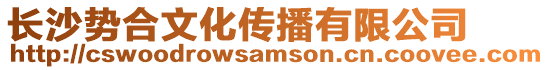 長沙勢合文化傳播有限公司