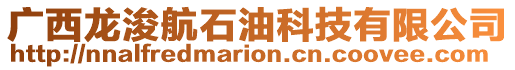 廣西龍浚航石油科技有限公司