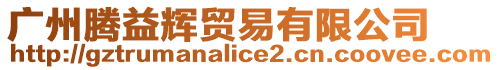 廣州騰益輝貿易有限公司