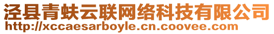 涇縣青蚨云聯網絡科技有限公司