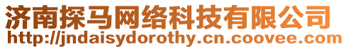 濟南探馬網絡科技有限公司