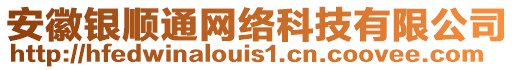 安徽銀順通網絡科技有限公司