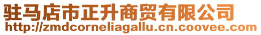 駐馬店市正升商貿有限公司