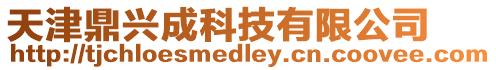 天津鼎興成科技有限公司