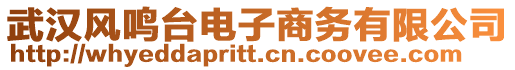 武漢風鳴臺電子商務有限公司