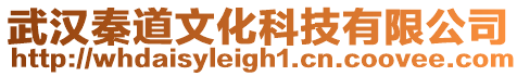 武漢秦道文化科技有限公司