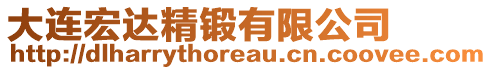 大連宏達精鍛有限公司