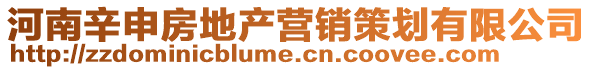 河南辛申房地產營銷策劃有限公司