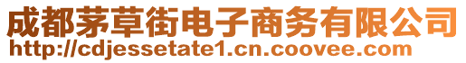 成都茅草街電子商務有限公司