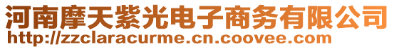 河南摩天紫光電子商務有限公司