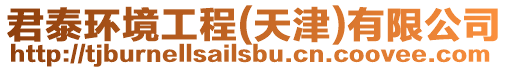 君泰環(huán)境工程(天津)有限公司