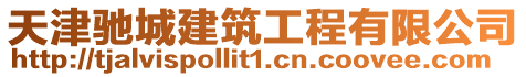 天津馳城建筑工程有限公司