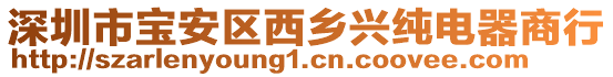深圳市寶安區西鄉興純電器商行