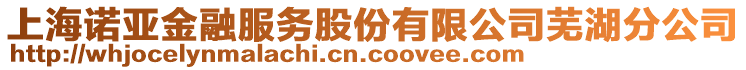 上海諾亞金融服務(wù)股份有限公司蕪湖分公司