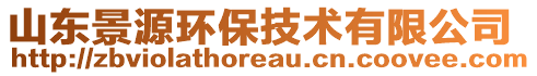 山東景源環(huán)保技術(shù)有限公司