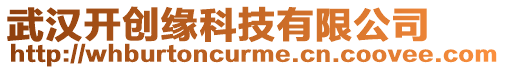 武漢開創(chuàng)緣科技有限公司