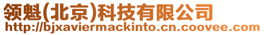 領魁(北京)科技有限公司