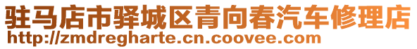 駐馬店市驛城區(qū)青向春汽車修理店