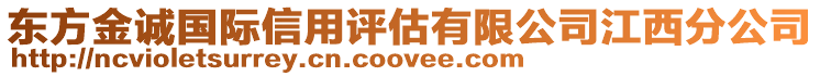 東方金誠(chéng)國(guó)際信用評(píng)估有限公司江西分公司