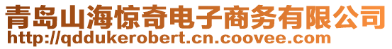 青島山海驚奇電子商務(wù)有限公司