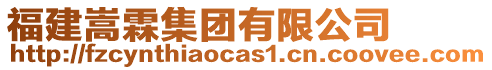 福建嵩霖集團有限公司