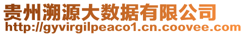 貴州溯源大數(shù)據(jù)有限公司