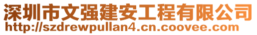 深圳市文強(qiáng)建安工程有限公司