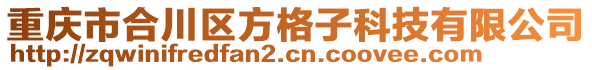 重慶市合川區(qū)方格子科技有限公司