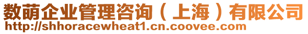 數(shù)萌企業(yè)管理咨詢（上海）有限公司