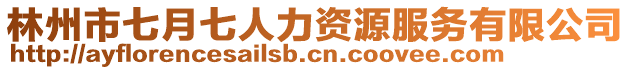 林州市七月七人力資源服務(wù)有限公司