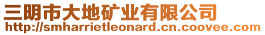 三明市大地礦業有限公司