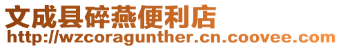 文成縣碎燕便利店