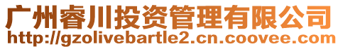 廣州睿川投資管理有限公司