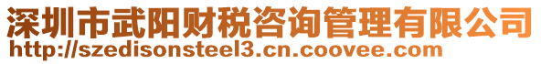 深圳市武陽(yáng)財(cái)稅咨詢(xún)管理有限公司