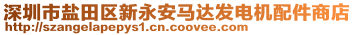 深圳市鹽田區新永安馬達發電機配件商店