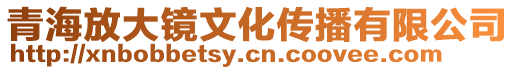 青海放大鏡文化傳播有限公司