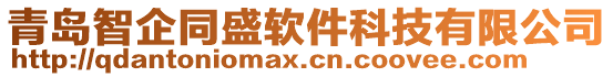 青島智企同盛軟件科技有限公司