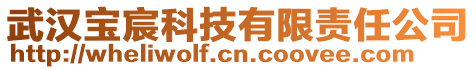 武漢寶宸科技有限責任公司