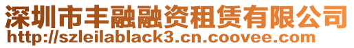 深圳市豐融融資租賃有限公司