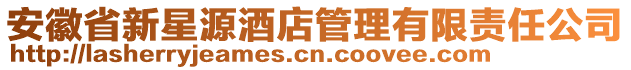 安徽省新星源酒店管理有限责任公司